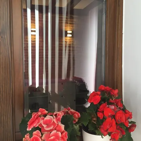 Don Quijote Apartment Toledo