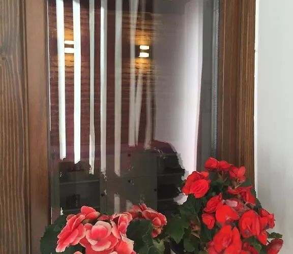 Don Quijote Appartement Tolède